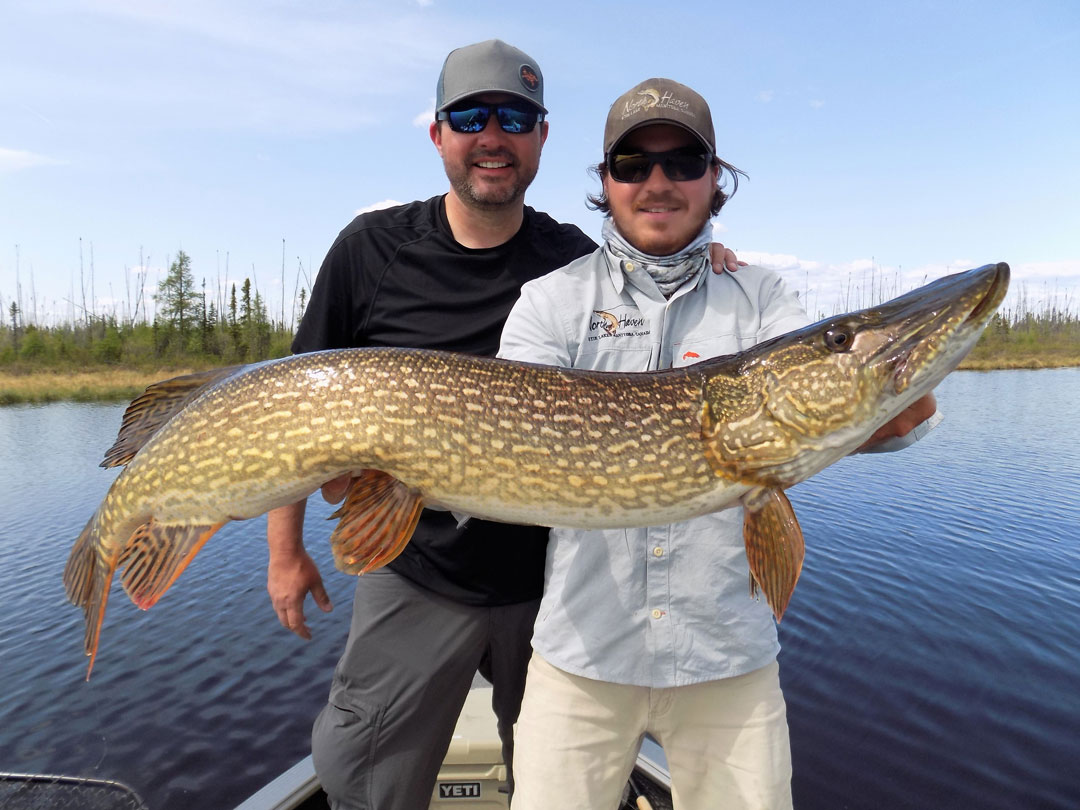 Manitoba Fly-outs for Trophy Pike Fishing - North Haven Resort