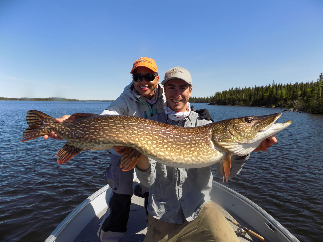 Fly-In Fishing on Utik Lake, MB at North Haven Resort