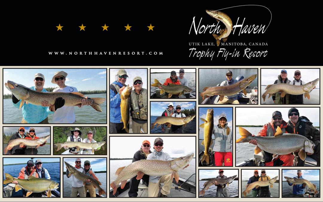 rates 2019 North Haven Rates Brochure