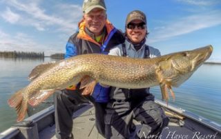 Northern Pike caught at North Haven Resort by Dennis