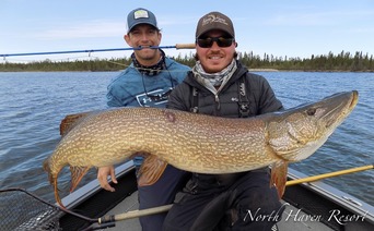Northern Pike caught at North Haven Resort by Kevin