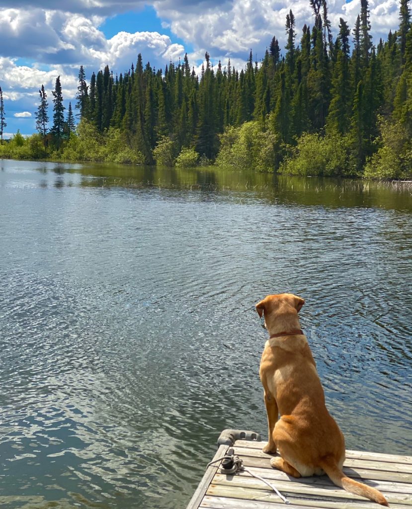 Arlo at North Haven Resort fishing the dog days